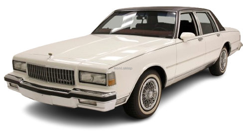 COUPE RWD [1976-1989]